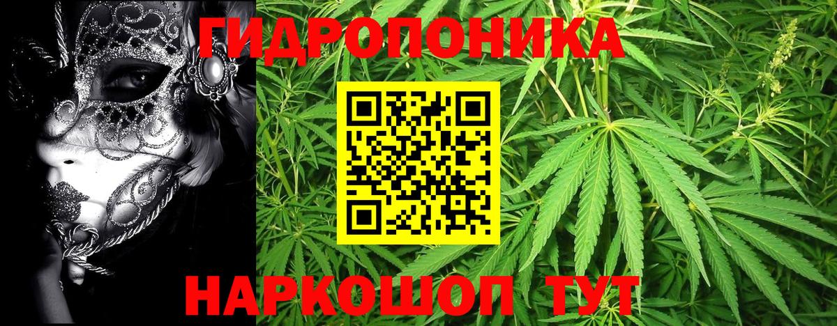 Шишки марихуана гибрид  Марихуана Ganja  Бошки марихуана SATIVA & INDICA  Вход с VPN  Минусинск 